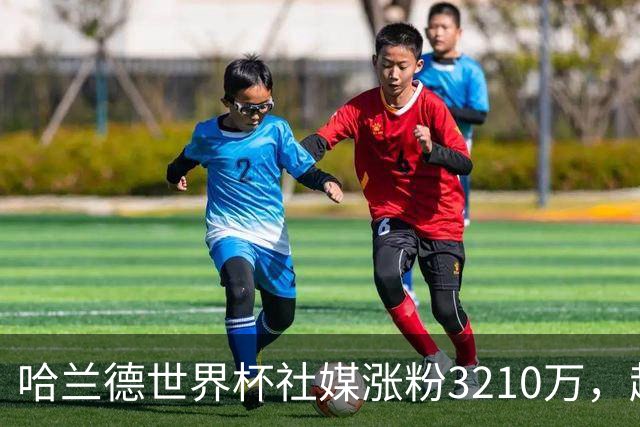 哈兰德世界杯社媒涨粉3210万，超沃齐尼亚所有球员第一