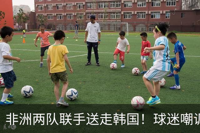 非洲两队联手送走韩国！球迷嘲讽：还在给2002年还债